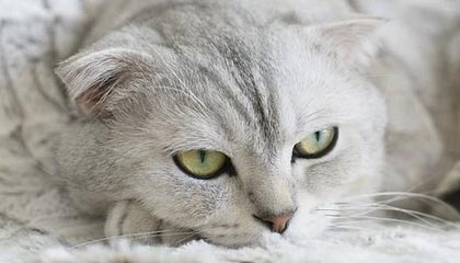 星空体育登陆首页-LOL赛事对电竞产业的影响：如何推动电竞发展，lol电竞的成功