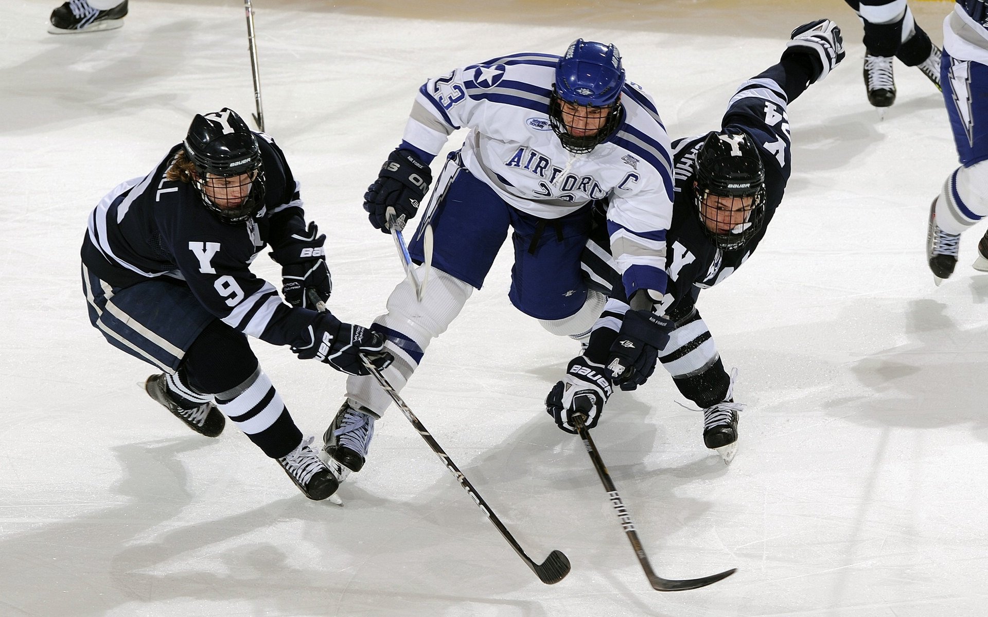 大洋洲篮球冠军产生，豪强巅峰对决，大洋洲赛区冠军