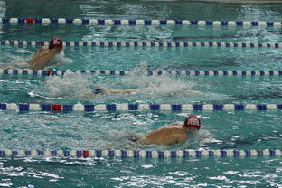 星空体育-中国游泳运动员世锦赛接力项目表现抢眼，中国游泳接力夺金