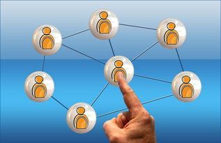 星空体育平台-体育新闻中心联合高校开展体育传媒创新创业大赛，体育产业创新创业大赛