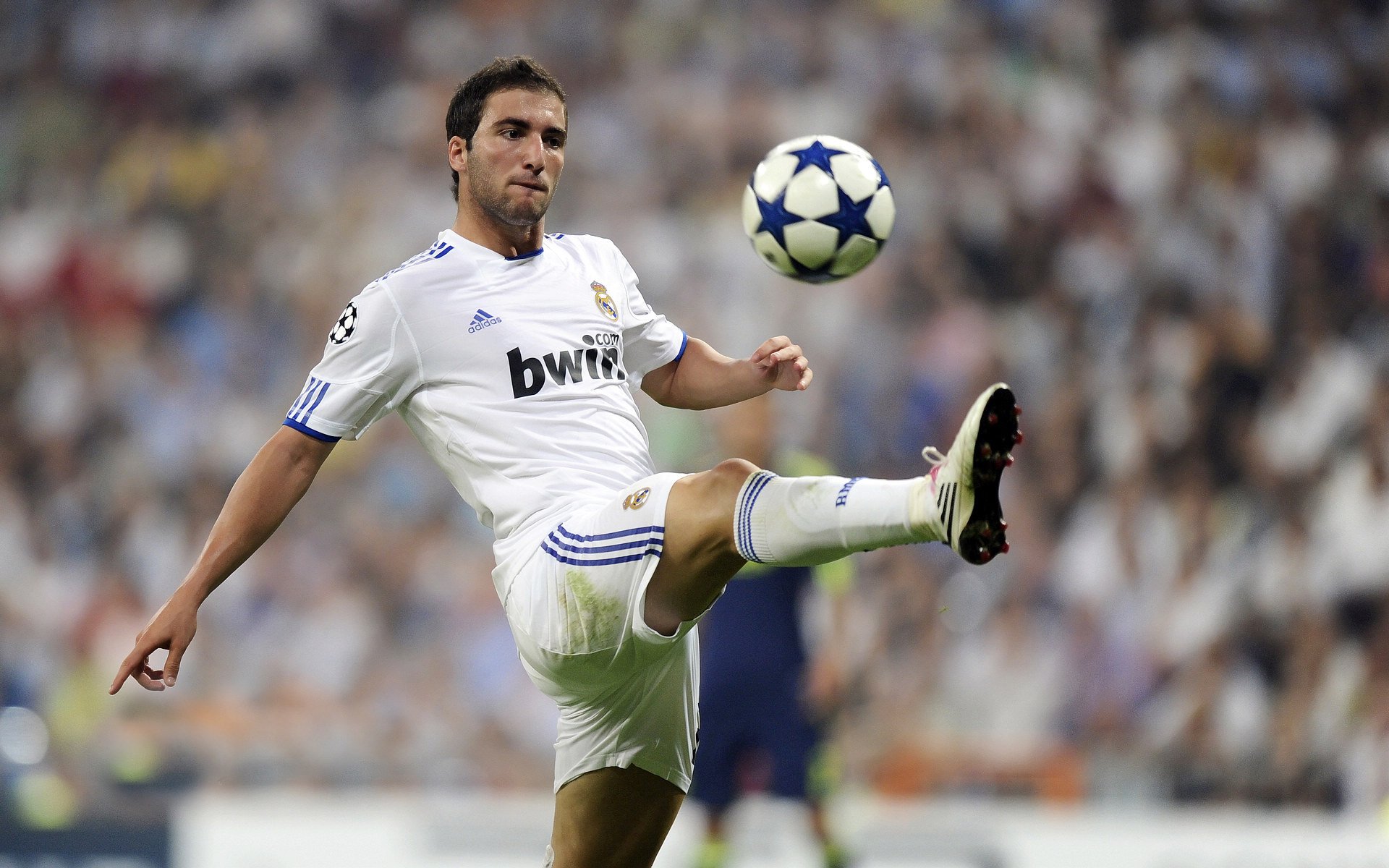 国际足球俱乐部青训论坛在广州召开，国际足联青训补偿标准