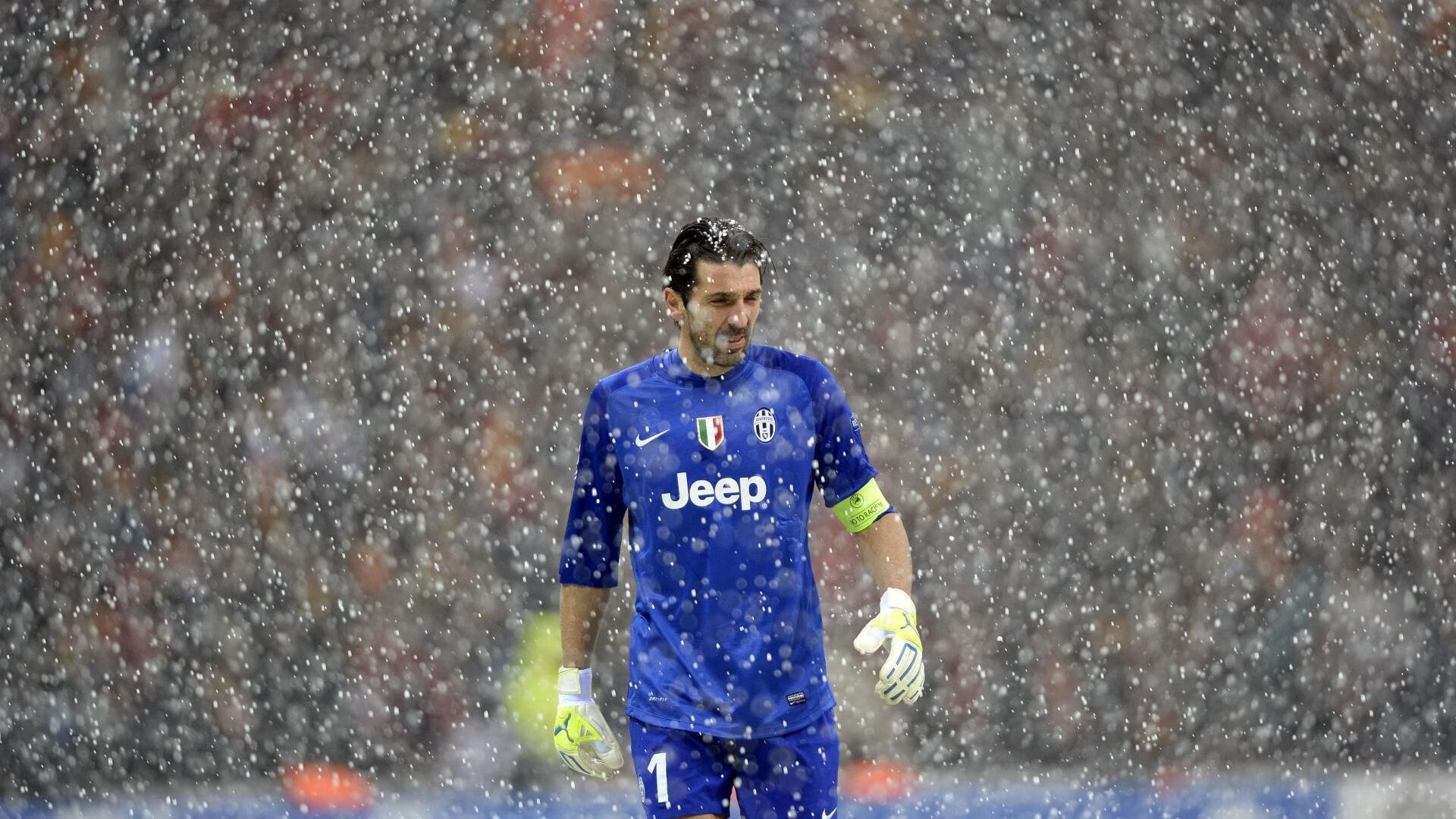 -女子混合泳荷兰选手均衡发展，女子混合泳世界纪录